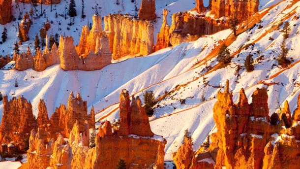 Sandstone hoodoos, Bryce Canyon National Park, Utah, United States (© Stephen Matera/TANDEM Stills + Motion)