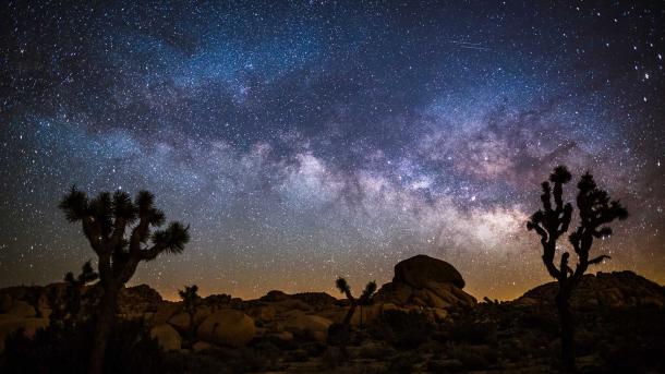 An ocean of stars above the desert