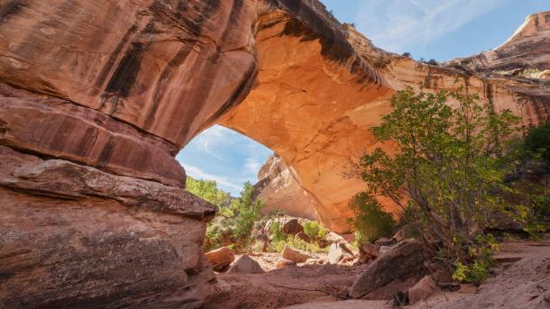 Kachina Bridge, Natural Bridges National Monument, Utah, United States (© Alan Majchrowicz/Getty Images)