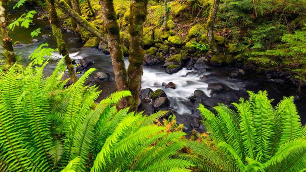 Fresh finds in Fraser Valley