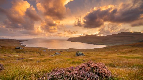 Heather growing in Glen Brittle, Isle of Skye, Scotland (© Adam Mowery/TANDEM Stills + Motion)