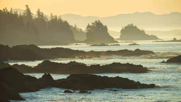 Ucluelet, Vancouver Island, British Columbia (© AWL Images/DanitaDelimont.com)
