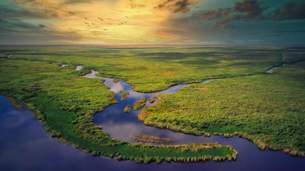 Luftaufnahme des Everglades-Nationalparks, Florida, USA (© Robert DelVecchio - OcuDrone/Getty Images)