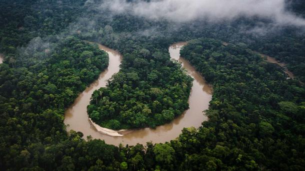 Amazonas-Regenwald, Ecuador  (© Mark Fox/Getty Images)