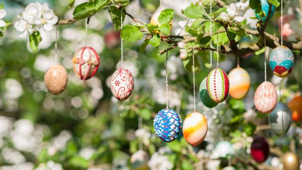 Viele bunt bemalte Ostereier an einem Apfelbaum (© Kerrick/Getty Images)