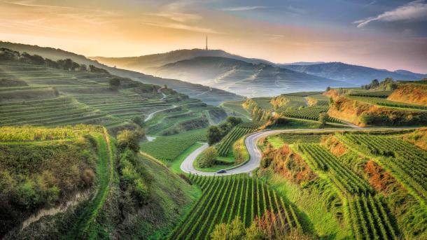 Ansicht eines landwirtschaftlichen Feldes, Kaiserstuhl, Baden-Württemberg (© EyeEM Mobile GmbH/Getty Images)