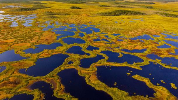Luftaufnahme des Moorgebiets im Martimoaapa-Moorreservat, Finnland (© romikatarina/Shutterstock)