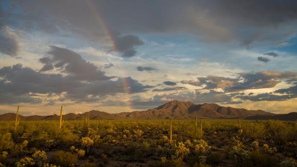 Regenbogen über dem Wasson Peak, Saguaro-Nationalpark, Arizona, USA (© Frank Staub/Getty Images)