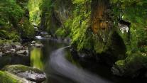 贝图瑟科伊德的Fairy Glen,英国威尔士