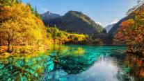五花海,阿坝九寨沟旅游景区,四川省,中国