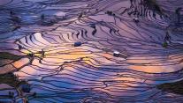 梯田鸟瞰图,元阳,中国