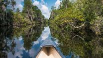 Canoe paddling in Okefenokee National Wildlife Refuge, Georgia 