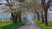 Sparks Lane in Cades Cove, Great Smoky Mountains National Park, Tennessee 