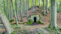 Bavarian Forest wine cellar, Germany 