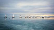 Ice and snow sailing European Championship on Lake Balaton in Hungary 