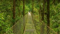 Hanging bridge in Monteverde Cloud Forest, Costa Rica 