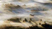 Mist in the Cowichan Valley on Vancouver Island, British Columbia, Canada 