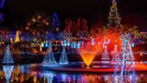 Festival of Lights, VanDusen Botanical Garden, Vancouver 