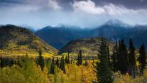 Autumnal woodland and Young Peak, British Columbia, Canada 