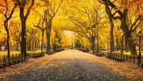 Herbst im Central Park, Manhattan, New York City, USA 