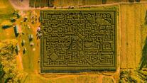 Maislabyrinth in Saylorsburg, Pennsylvania, USA 