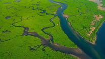 Aerial view of the Amazon River in Brazil 