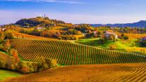 Colline del Prosecco di Conegliano e Valdobbiadene, Veneto, Italia 