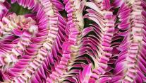 Hawaiian lei flower garlands 