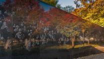 Mural Wall, Korean War Veterans Memorial, Washington, DC 