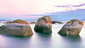 【2016-11-13】 美丽斑纹的岩石 弗林德斯岛附近的花岗岩岩石，塔斯马尼亚州，澳大利亚 (© Masterfile/Aurora Photos)