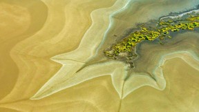 【2016-10-24】 “蛇行”的国王河 温德姆市附近King河的滩涂，澳大利亚 (© Ralph Lee Hopkins/Offset)