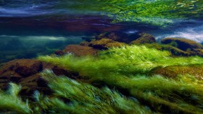 【2016-09-02】 水之魅力 斯诺多尼亚国家公园的Afon Ogwen河，英国威尔士 (© Graham Eaton/Minden Pictures)