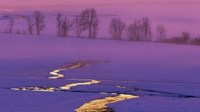 【2016-12-16】 活在真实的童话世界 雪地里的日落，瑞士 (© Alexander Dragunov/500px)