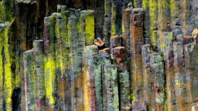 在乌姆普夸国家森林的柱状玄武岩石材，美国俄勒冈州 (© Jaynes Gallery/Danita Delimont)(2016-09-14)