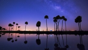 【2017-07-22】 烈日炎炎 雷雨交加 【今日大暑】Econlockhatchee 河上的吊床露营，美国佛罗里达州 (© Mac Stone/Tandem Stills + Motion)