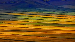 【今日立秋】内蒙古呼伦贝尔草原，中国 (© Sino Images/Getty Images)(2017-08-07)