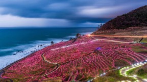 灯光装点的水稻梯田，日本轮岛 (© Sean Pavone/Alamy)(2017-11-28)