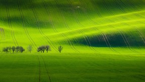 基约夫附近的南摩拉维亚风景，捷克共和国  (© Tomas Vocelka/500px)(2017-04-30)