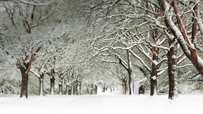 【2016-12-26】 百川朝海，往来古今 南安普敦公园，南安普敦，英格兰 (© David Baker/Gallery Stock)