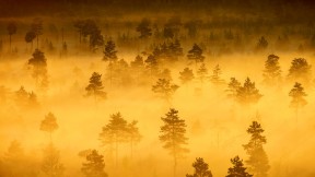 【2017-02-18】 北欧的味道 【今日雨水】特隆索国家公园，芬兰 (© Teemu Tretjakov/500px)