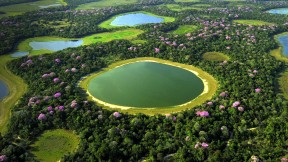 【2018-05-30】 盆地里的绿洲 潘塔纳尔湿地，巴西 (© Lucas Leuzinger/Shutterstock)