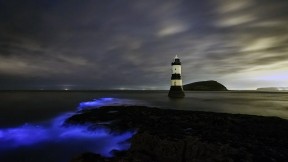【2018-01-27】 “荧光海水” Trwyn杜灯塔附近的发光浮游生物，威尔士安格尔西岛 (© REX/Shutterstock)