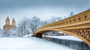 中央公园的弓桥，美国纽约市 (© Ultima Gaina/iStock/Getty Images Plus)(2018-01-11)