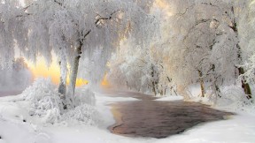 库赫莫附近的冬日美景，芬兰 (© Ville Heikkinen/iStock/Getty Images Plus)(2018-01-28)