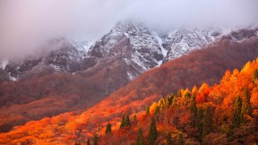 大山，日本神奈川县 (© Katsuhiro Yamanashi/Getty Images)(2018-11-01)