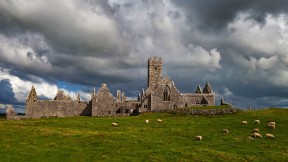 Ross Errilly Friary，爱尔兰戈尔韦郡 (© plainpicture)(2018-03-17)