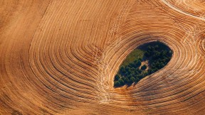 华盛顿州帕卢斯地区的农田 (© Art Wolfe/Getty Images)(2019-08-23)