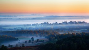 亚士顿森林薄雾日出，英国东萨塞克斯郡 (© Tim Stocker Photography/Getty Images)(2019-10-21)