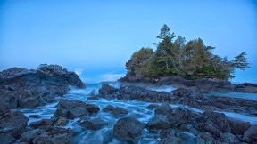 温哥华岛托菲诺附近的海岸线，加拿大不列颠哥伦比亚省 (© Robert Postma/plainpicture)(2019-03-18)