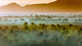 摩洛哥扎戈拉附近的椰枣树林 (© Frans Lemmens/Getty Images)(2019-06-04)